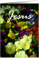 JESUS card