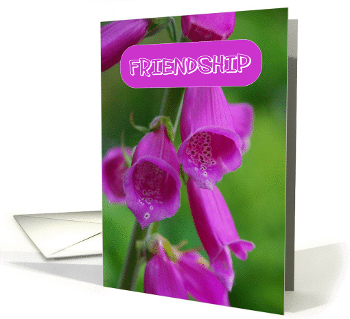 Friendship Pink Belle Flower
 card (891450)