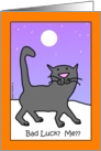 Halloween Cat - Bad Luck? Me?? card