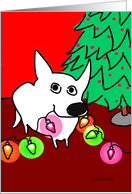 Dog with Christmas...