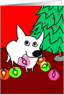 Dog with Christmas tree lights card