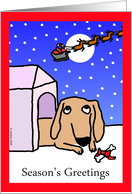 Christmas dachshund...