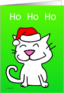 Happy Holiday Cat