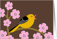 Spring Bird & Cherry Blossoms card