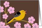 Spring Bird & Cherry Blossoms card