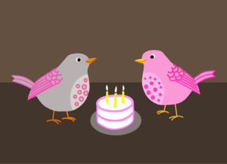 Bird Birthday Party