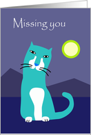 Blue Cat - Missing...