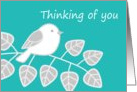 Blue Bird Thinking of You card