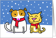 Dog & Cat Holiday...