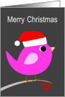 Pink Bird with Santa’s Hat Merry Christmas card