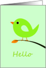 Cute Green Bird - Hello card