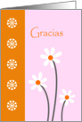 Gracias Card with White Flowers card