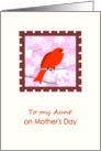 Mother’s Day to Aunt with Red Bird card