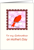 Mother’s Day to Godmother with Red Bird card