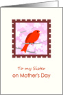 Mother’s Day to Sister with Red Bird card