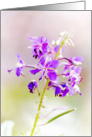 Beautiful card