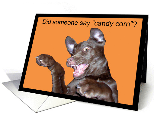 Scary Halloween Lab Puppy card (493835)