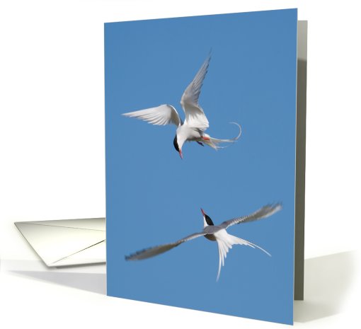 Love at First Sight! Love Birds Birthday Greetings card (495646)