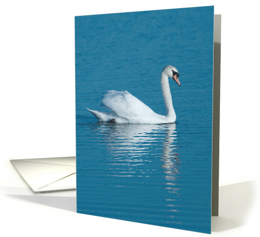 Swan Reflection Birthday Greetings card (515803)