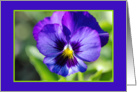 Purple Pansy card