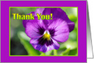 Thank You - Purple Pansy - You’re the Best card