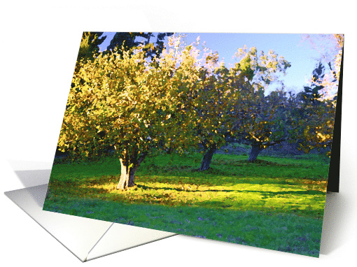 Early Evening Orchard card (495466)