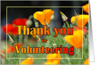 Thank You Volunteer Poppies card