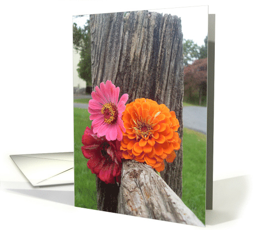 Get well soon card (495788)
