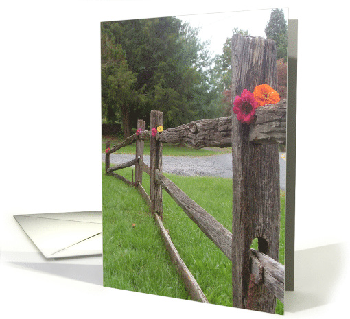 blank inside card (495793)