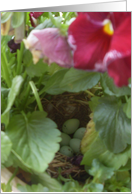 Happy Easter card