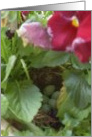 Happy Easter card