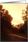 See the light card