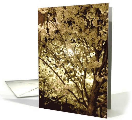 Get well soon card (495871)