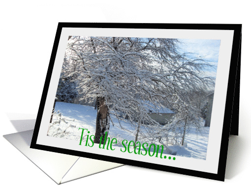 Tis the season card (495930)