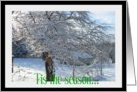 Tis the season card