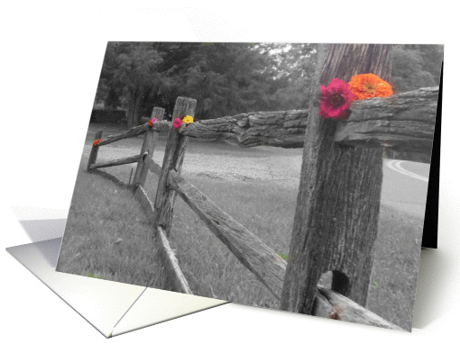 color splash card (498059)