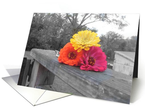 color splash card (498061)