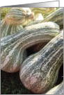 pumpkins card
