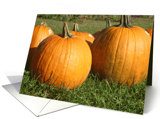 pumpkins card (498515)