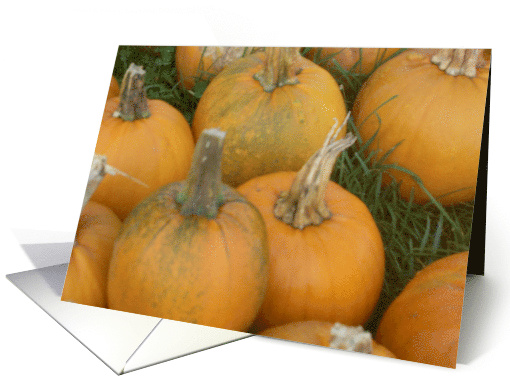 pumpkins card (498518)