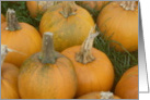 pumpkins card
