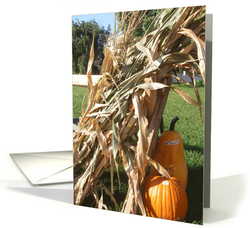 pumpkins card (498521)