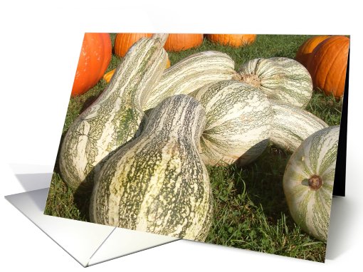 pumpkins card (498525)