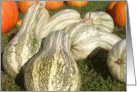 pumpkins card