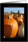 Thanksgiving card