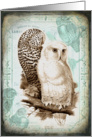 Vintage Owl Couple - Any Occasion card