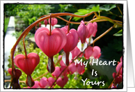 My Heart Is Yours ...