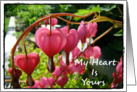 My Heart Is Yours (love and romance) card