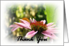 Thank You (Cone Flower) card