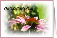 On Mother’s Day card